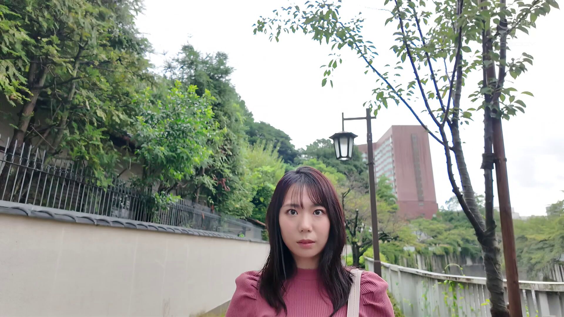 Blog image 9